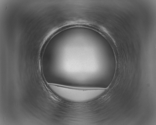 X0000058101320200509230744