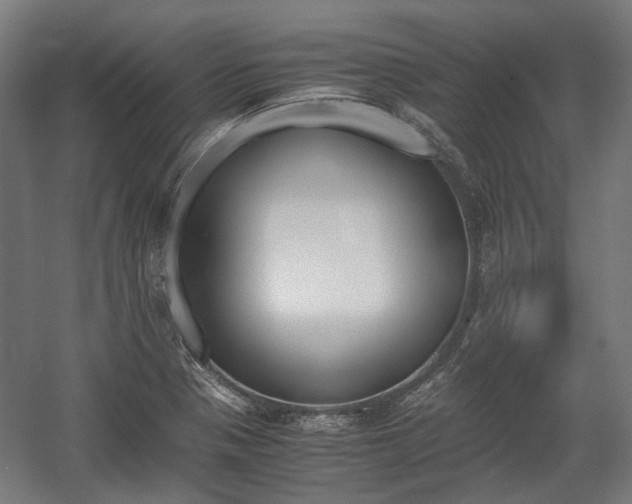 X0000058101321200509230744