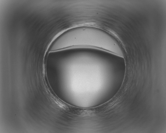 X0000058101324200509230744