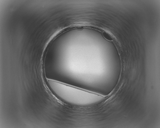 X0000058101325200509230744
