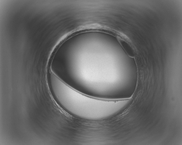 X0000058101326200509230744