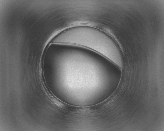X0000058101328200509230744