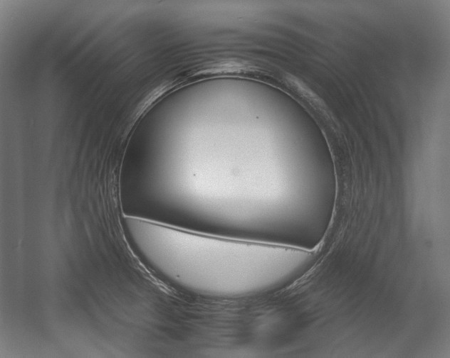 X0000058101329200509230744