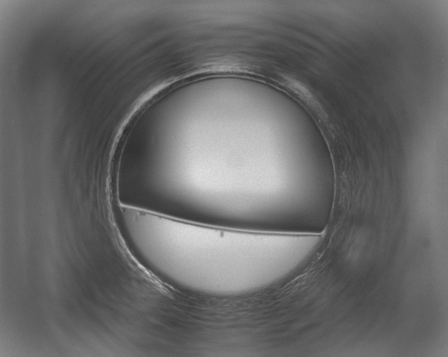 X0000058101331200509230744