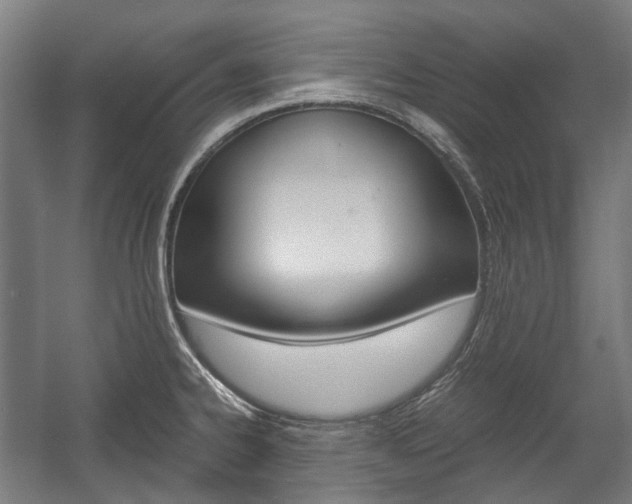 X0000058101334200509230744