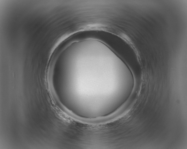X0000058101336200509230744