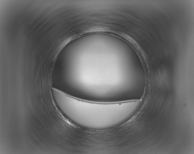 X0000058101337200509230744