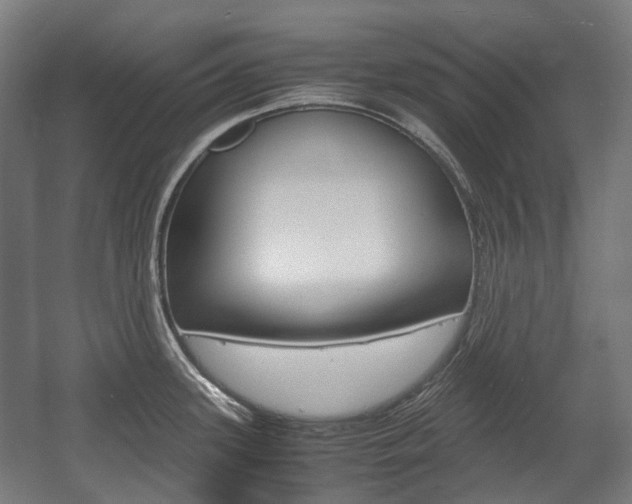 X0000058101339200509230744