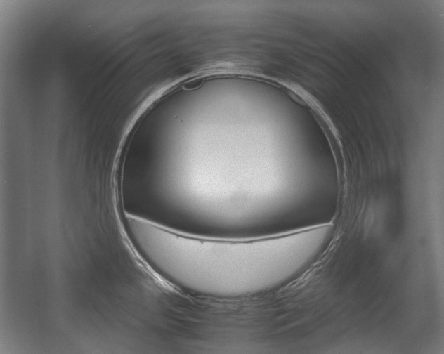 X0000058101341200509230744