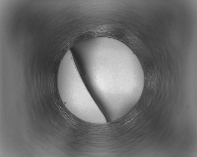 X0000058101346200509230743
