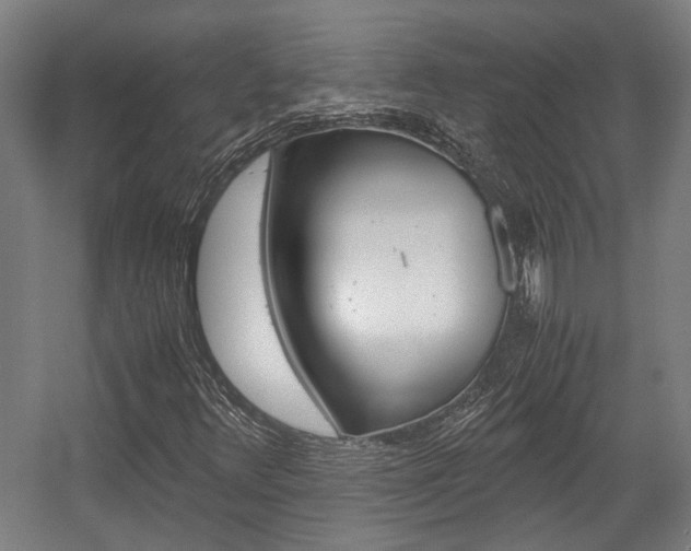 X0000058101348200509230743