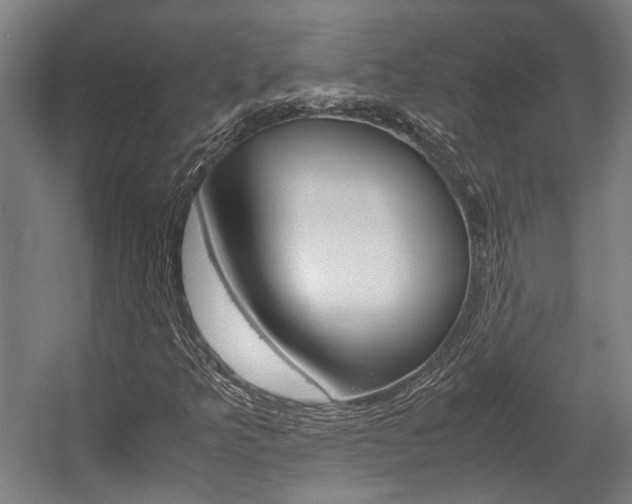 X0000058101349200509230743
