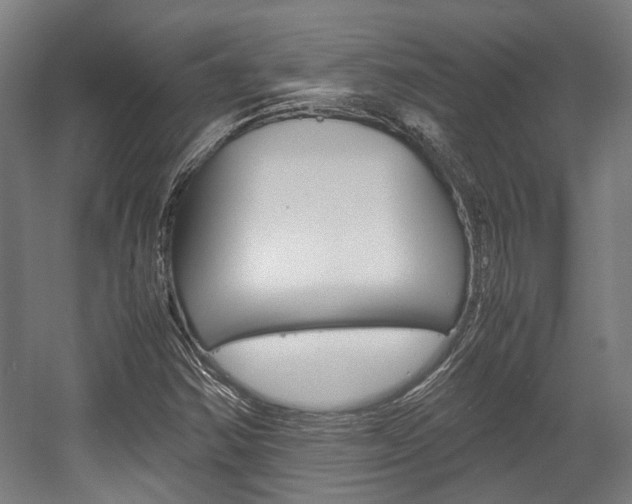 X0000058101354200509230743