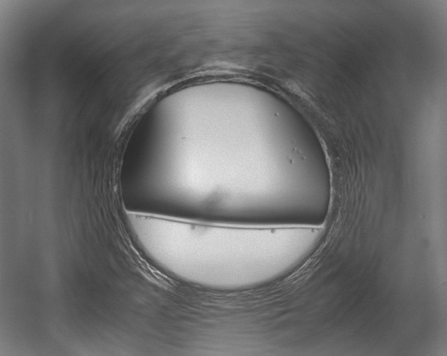 X0000058101355200509230743