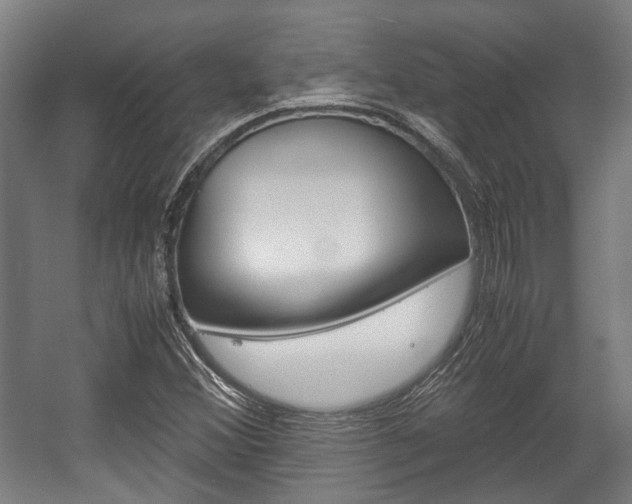 X0000058101356200509230743
