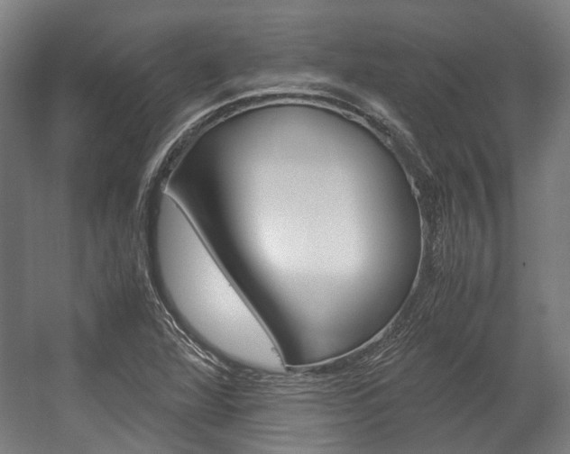 X0000058101360200509230743