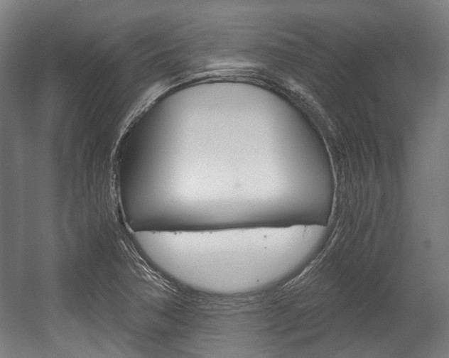X0000058101362200509230743
