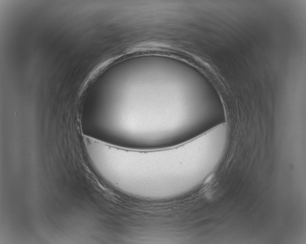 X0000058101363200509230743