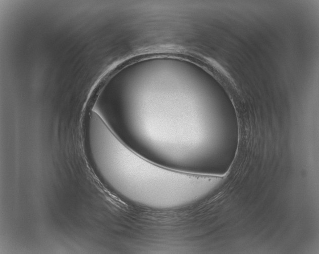 X0000058101364200509230743