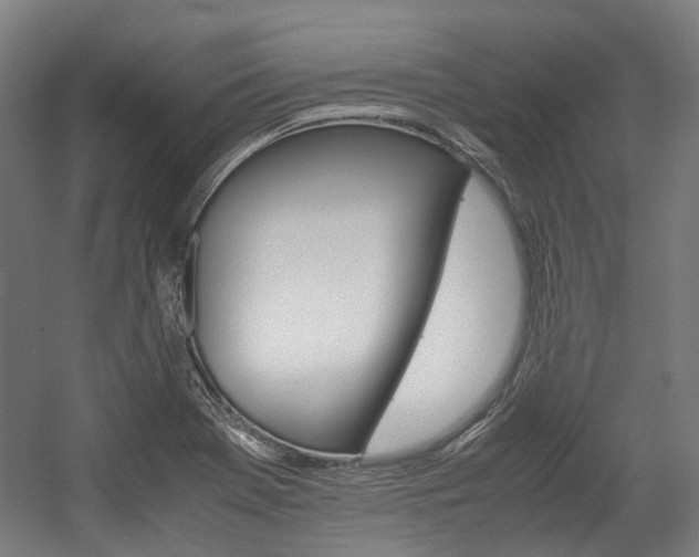 X0000058101369200509230743