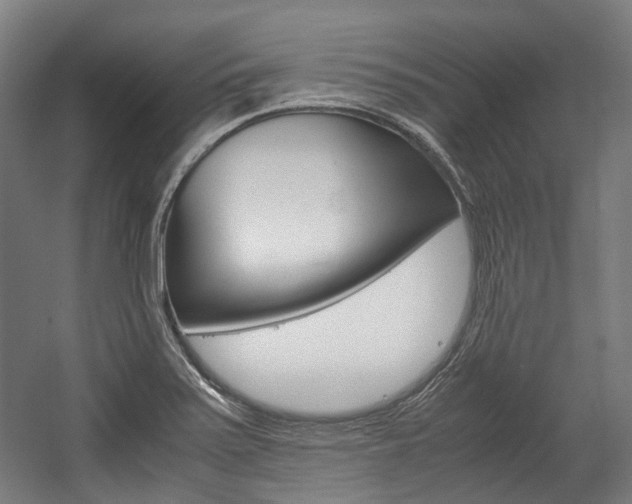 X0000058101371200509230743