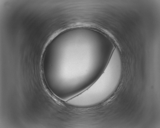 X0000058101373200509230743
