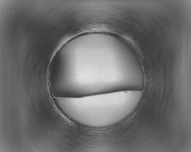 X0000058101374200509230743