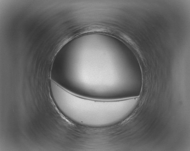 X0000058101377200509230743