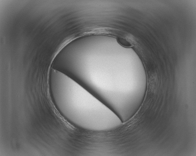 X0000058101378200509230743