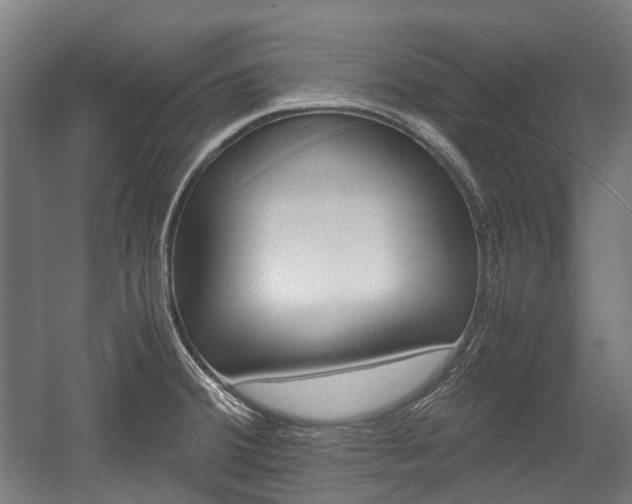 X0000058101380200509230743