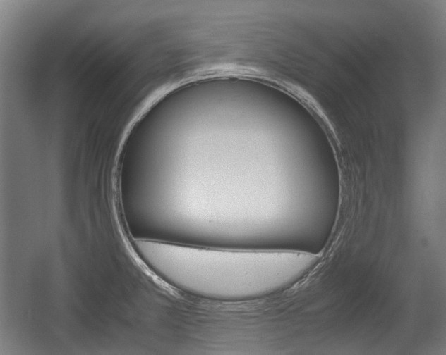 X0000058101381200509230743