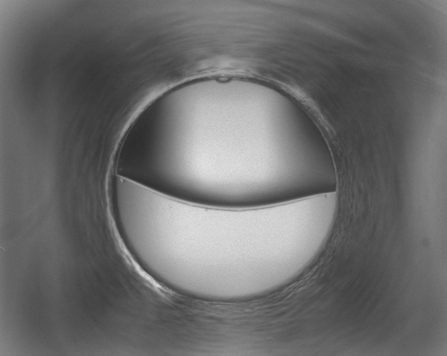 X0000058101383200509230743