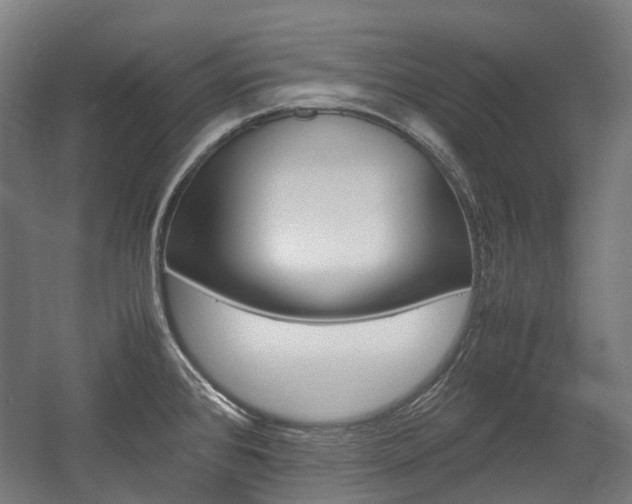 X0000058101384200509230743