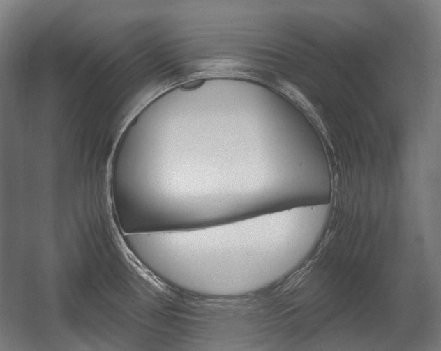 X0000058101386200509230743