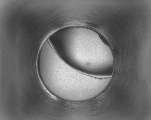 X0000058101387200509230743