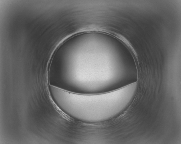 X0000058101388200509230742