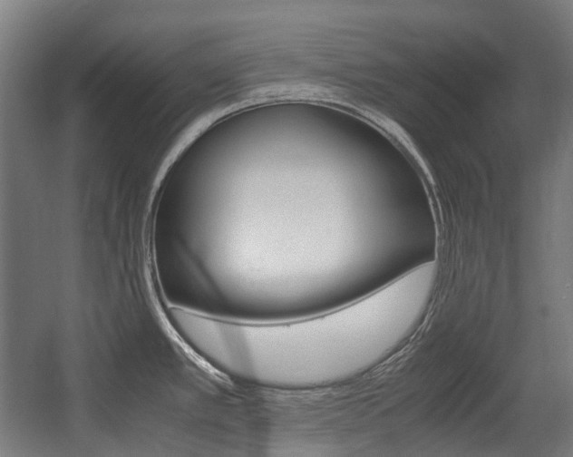 X0000058101389200509230742