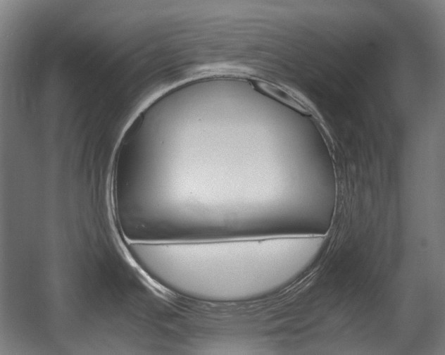 X0000058101391200509230742