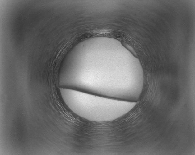 X0000058101393200509230742