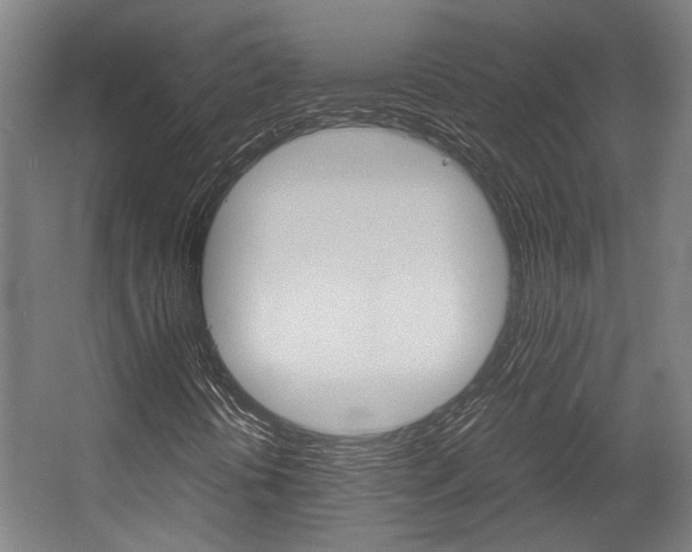 X0000058101394200509230742
