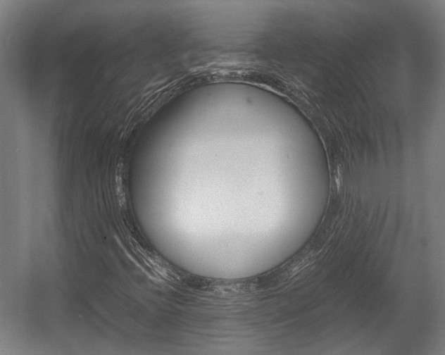 X0000058101396200509230742