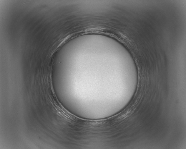X0000058101401200509230742