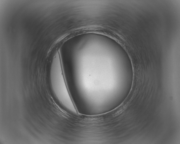 X0000058101402200509230742