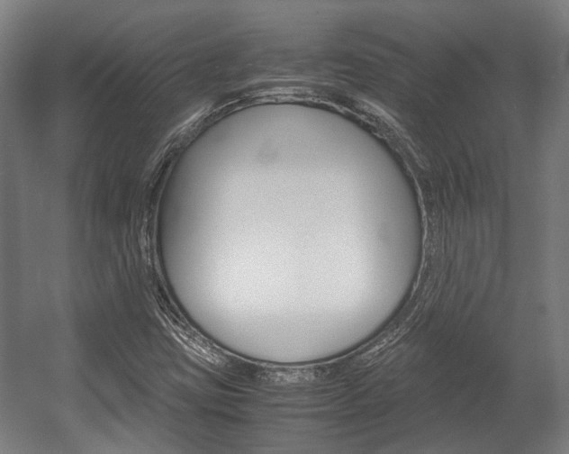 X0000058101403200509230742