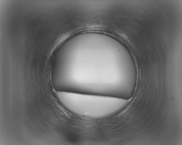X0000058101405200509230742