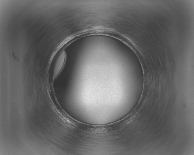 X0000058101410200509230742
