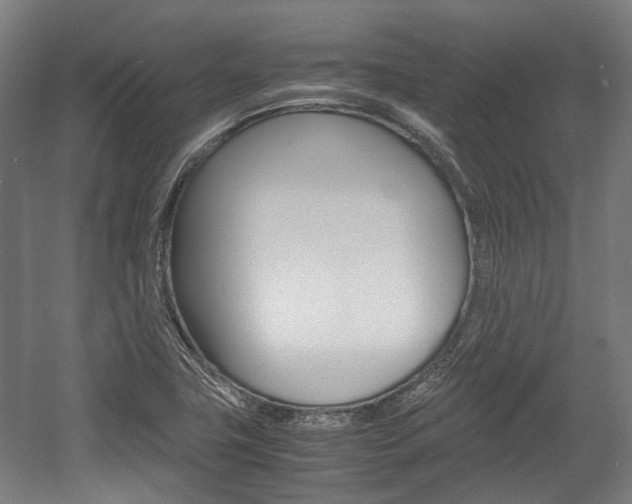 X0000058101411200509230742