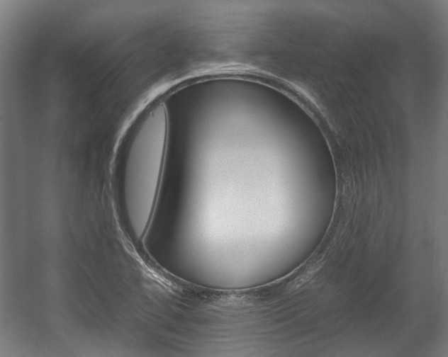 X0000058101414200509230742