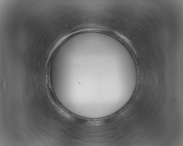X0000058101415200509230742