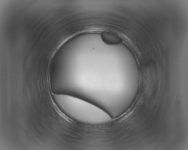 X0000058101417200509230742